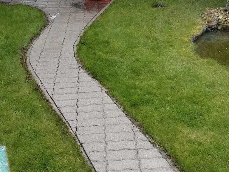 Trinkelės po