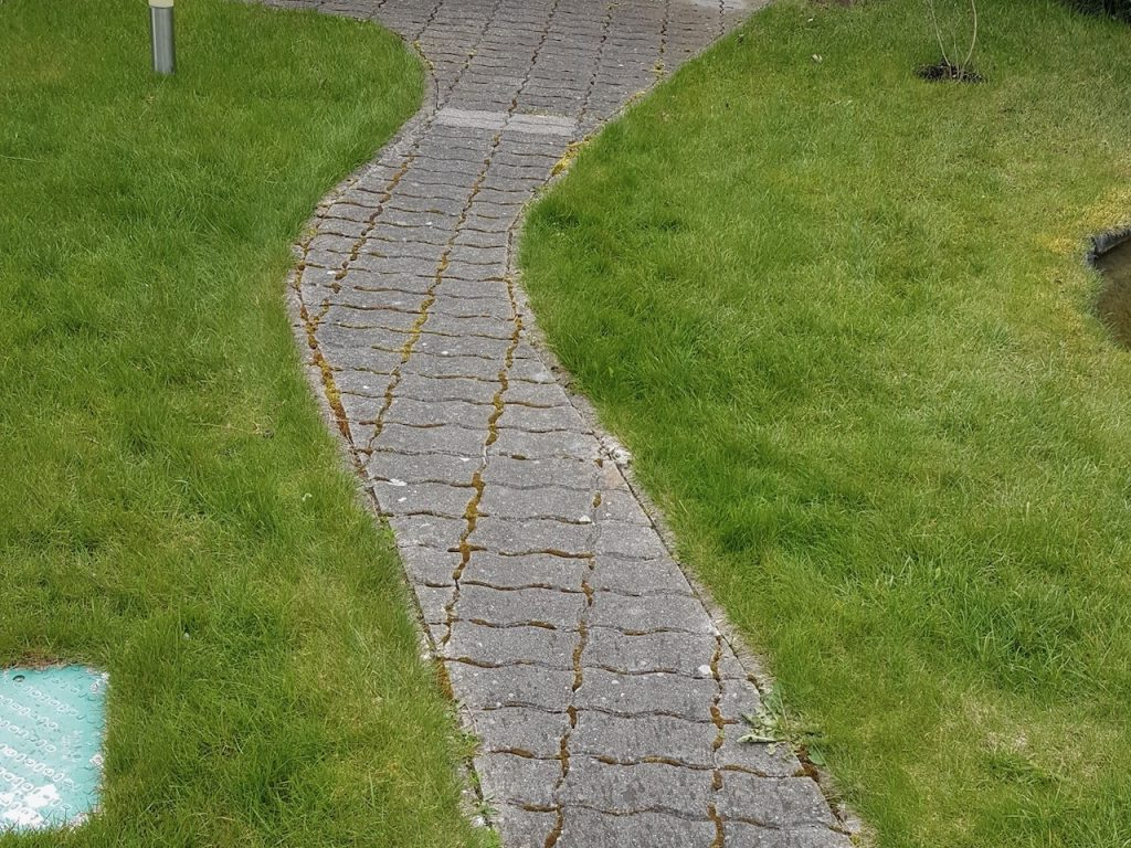 Trinkelės prieš